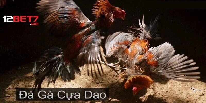 Đánh giá về lịch sử đối đầu là cách tiếp cận hiệu quả trong việc dự đoán